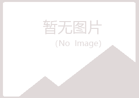 铁岭夜山采矿有限公司